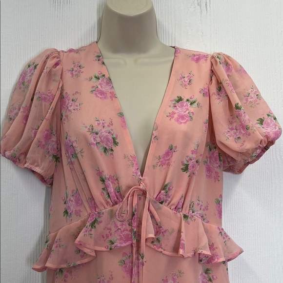 LoveShackFactory X Target - Fleur Chiffon Pink Floral Lined Maxi Dress Size 8 - Picture 8 of 12